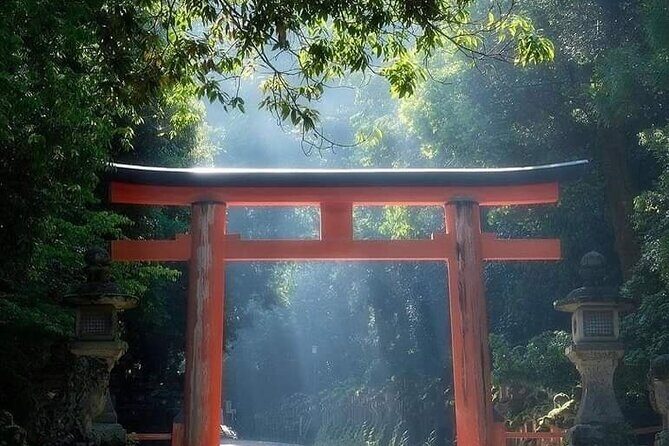 Mount Fuji Oshino Hakkai Sengen Park Sightseeing Day Tour - Who Will Love This Tour?