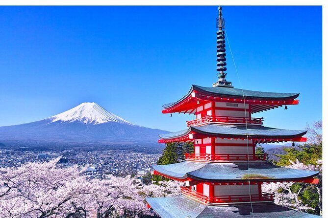 Mount Fuji Panoramic Day Trip from Tokyo - Key Points