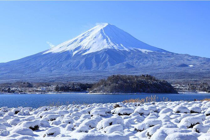 Mount Fuji Panoramic Day Trip from Tokyo - A Detailed Look at the Mount Fuji Panoramic Day Trip