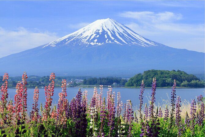 Mount Fuji Panoramic Day Trip from Tokyo - Is This Tour Worth It?