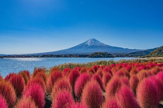 Mount Fuji Panoramic Day Trip from Tokyo - Who Should Consider This Tour?