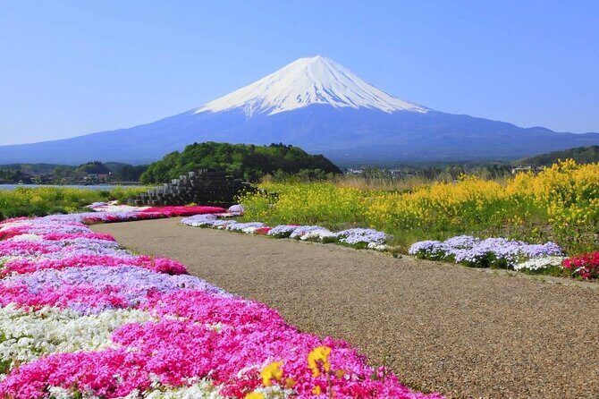 Mount Fuji Panoramic Day Trip from Tokyo - FAQ