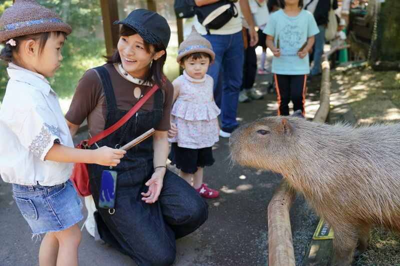 Mount Fuji Parent-Child Day Trip: Fuji Safari Park & Lake Yamanaka Mount Fuji Scenic View & Oshino Hakkai (Chinese/English-speaking leader-Departing from Tokyo/Shinjuku) - Lake Yamanaka: Mount Fuji with little time to spare