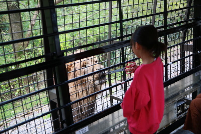 Mount Fuji Parent-Child Day Trip: Fuji Safari Park & Lake Yamanaka Mount Fuji Scenic View & Oshino Hakkai (Chinese/English-speaking leader-Departing from Tokyo/Shinjuku) - What the price does and does not cover