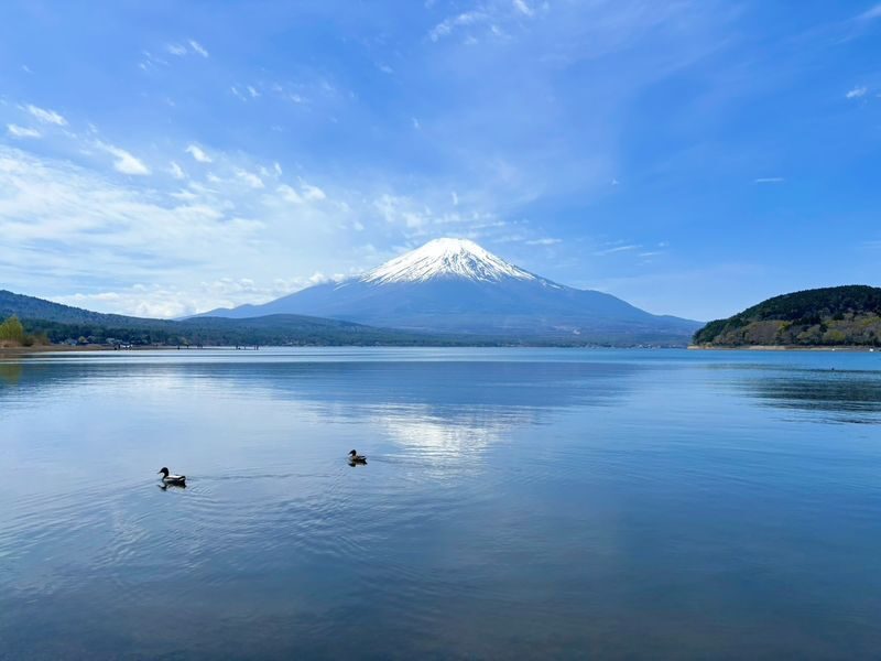 Mount Fuji Parent-Child Day Trip: Fuji Safari Park & Lake Yamanaka Mount Fuji Scenic View & Oshino Hakkai (Chinese/English-speaking leader-Departing from Tokyo/Shinjuku) - Weather, pace and who will enjoy it most