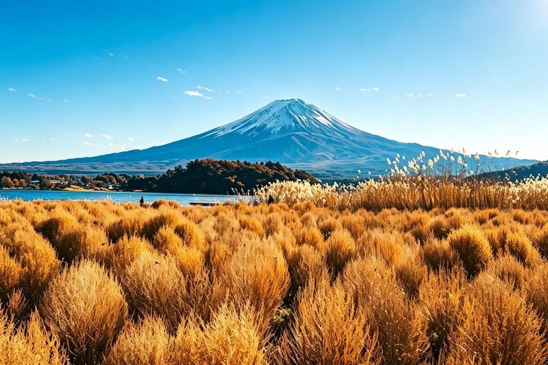Mount Fuji Photo Check-in & Lake Yamanaka Sumo Performance Day Tour (Departing from Tokyo/Chinese & English Service) - Oishi Park: flowers with a Fuji view