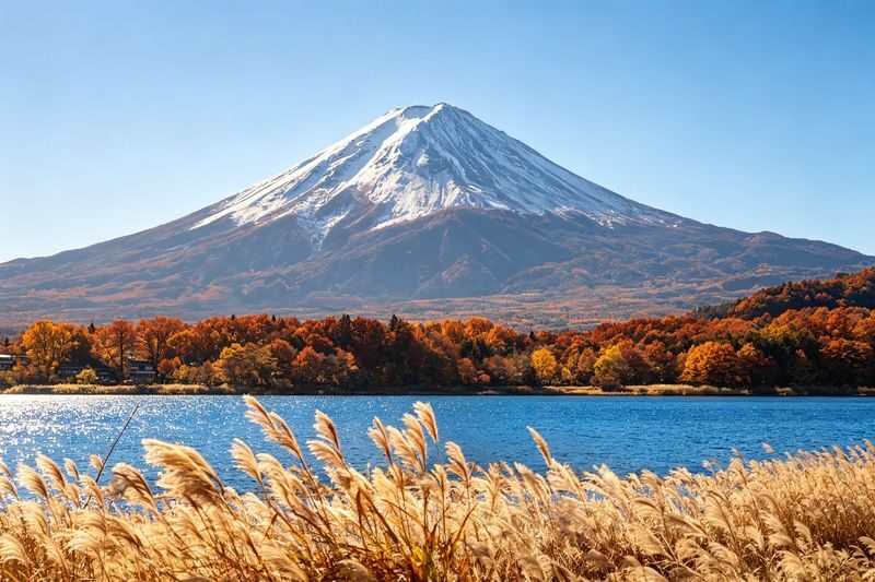 Mount Fuji Photo Check-in & Lake Yamanaka Sumo Performance Day Tour (Departing from Tokyo/Chinese & English Service) - Arakurayama Sengen Park: the classic pagoda view