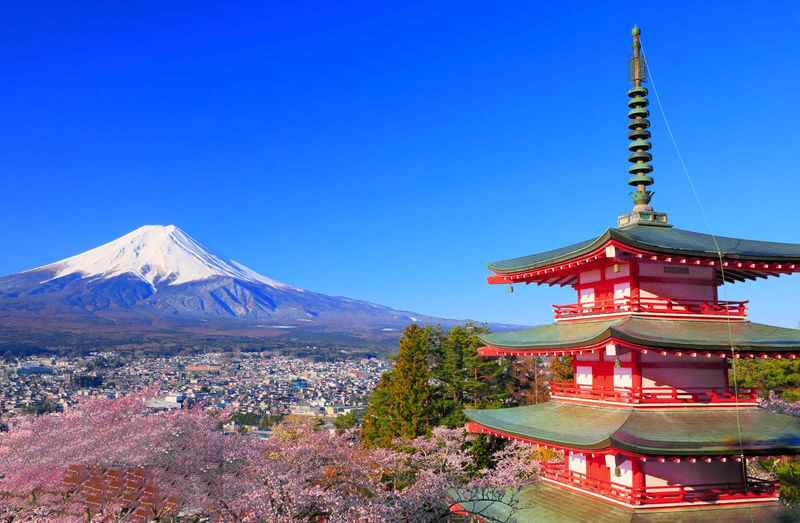 Mount Fuji Photo Spots One-Day Tour - Lake Yamanaka Hirano Beach & Arakurayama Sengen Park & Oshino Hakkai & Oishi Park & Hikawa Clock Shop (Departing from Tokyo/Shinjuku) - Is the price good value?