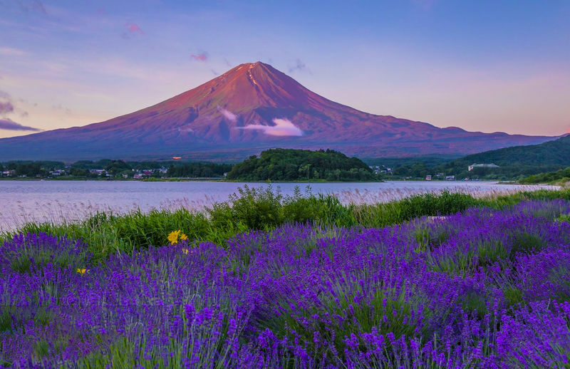 Mount Fuji Photo Spots One-Day Tour - Lake Yamanaka Hirano Beach & Arakurayama Sengen Park & Oshino Hakkai & Oishi Park & Hikawa Clock Shop (Departing from Tokyo/Shinjuku) - Weather, safety, and who should book