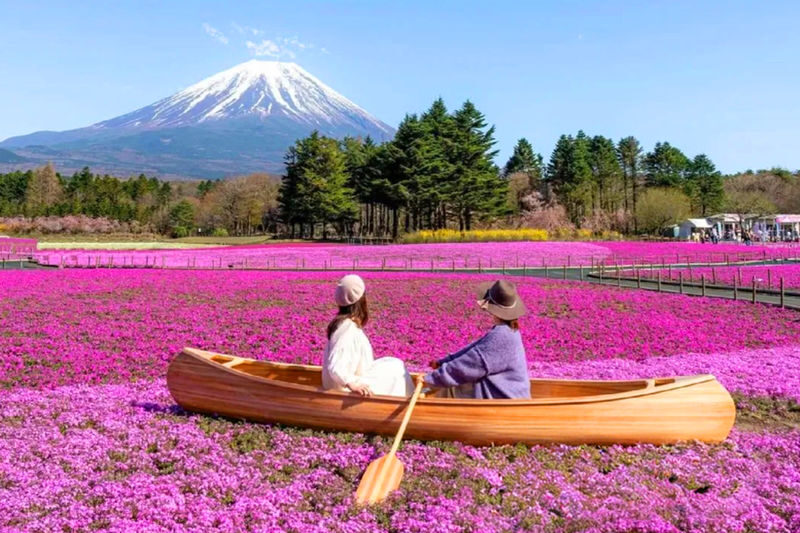 Mount Fuji Popular Attractions/Lake Yamanaka Walk & Cruise Day Trip (Small Group of 9) - A small minibus, a full day out of Tokyo