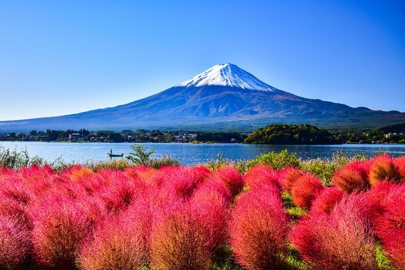 Mount Fuji Popular Photo Spot Day Trip: Arakurayama Sengen Park & Lake Kawaguchiko Oishi Park & Oshino Hakkai & Lawson & Hikawa Clock Shop (Departing from Tokyo) - The bus, the guide and the clock
