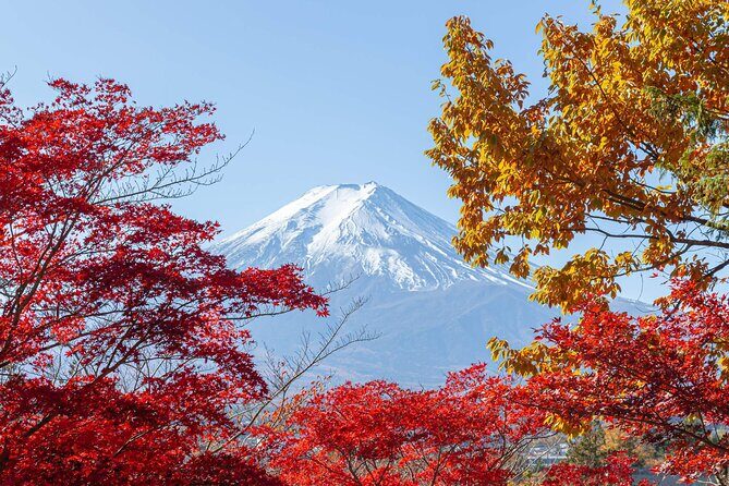 Mount Fuji Popular Sightseeing Tour - In-Depth Look at the Mount Fuji Sightseeing Tour