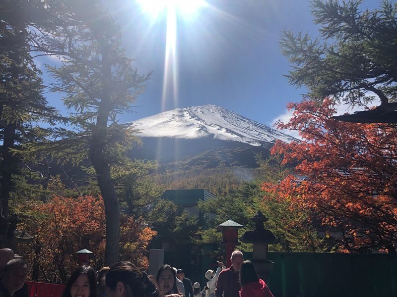 Mount Fuji Premium Cruise and Sake Tour (English Speaking Guide) - Oishi Park and Lake Kawaguchi