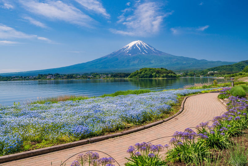 Mount Fuji Private Chartered Day Trip (From Tokyo) - A private ride from Tokyo, with room to change the plan