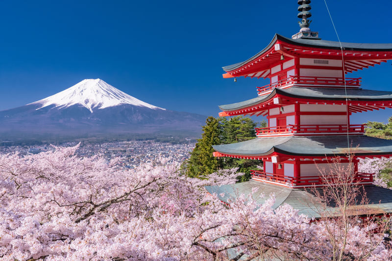 Mount Fuji Private Chartered Day Trip (From Tokyo) - Oshino Hakkai and the village springs