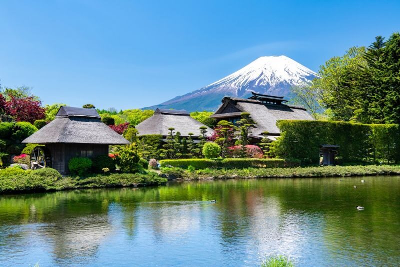 Mount Fuji Private Chartered Day Trip (From Tokyo) - Seasonal routes, farms, and outlet shopping