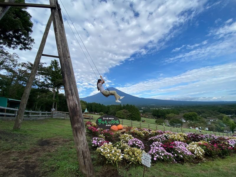 Mount Fuji Private Chartered Day Trip (From Tokyo) - The driver, communication, and what the service does not include