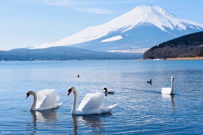 Mount Fuji Private Chartered Day Trip (From Tokyo) - Vehicle capacity, luggage, and child seats