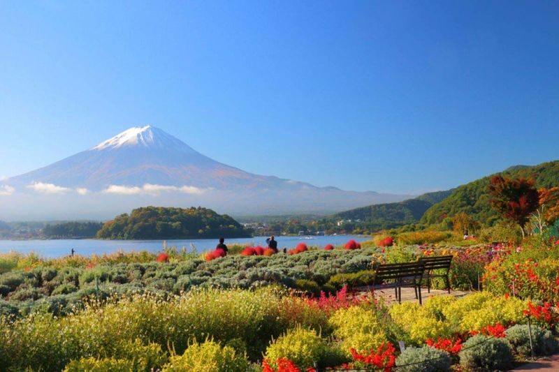 Mount Fuji Private Chartered Day Trip (From Tokyo) - Timing, traffic, and the cost of running late