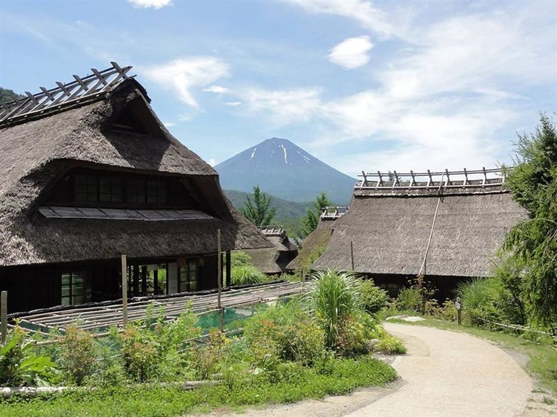 Mount Fuji Private Chartered Day Trip (From Tokyo) - Who should book this Mount Fuji day trip?