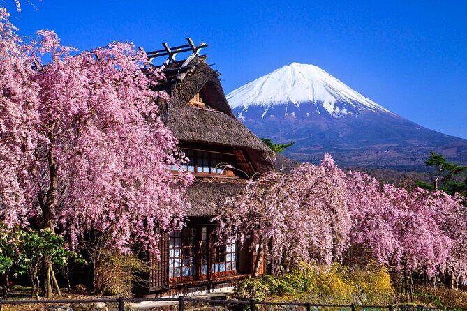 Mount Fuji Private Custom Tour with Local English Speaking Guide - How the Experience Comes Together