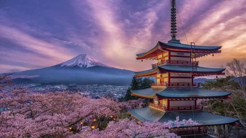 Mount Fuji: Private Full day Tour (Customizable) Eng driver - Experience the Majesty of Mount Fuji with a Private Full-Day Tour
