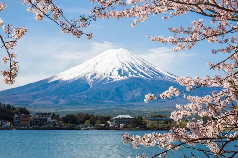 Mount Fuji: Private Full day Tour (Customizable) Eng driver - Key Points