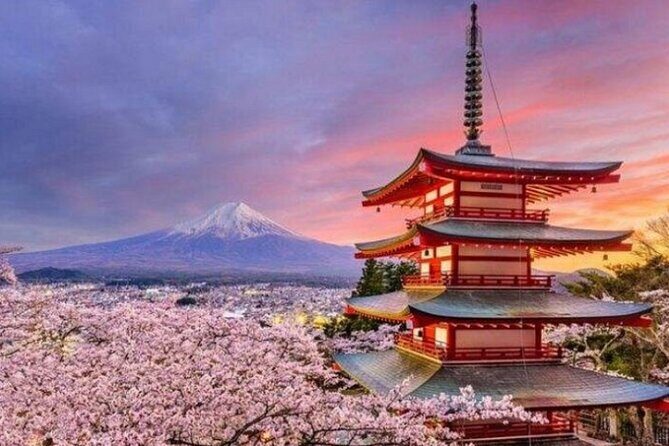 Mount Fuji Private Tour from Tokyo with English Speaking Driver - Who Should Consider This Tour?