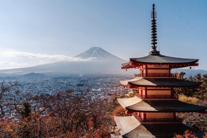 Mount Fuji Private Tour from Tokyo with English Speaking Driver - Final Thoughts
