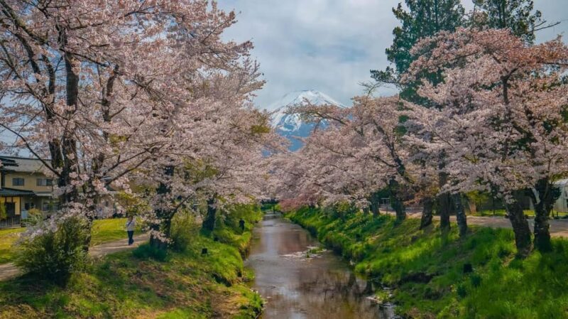 Mount Fuji Private Tour With English Speaking Driver/Guide - A Deep Dive Into the Mount Fuji Private Tour Experience