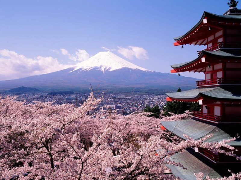 Mount Fuji Pvt. Full Day Trip with English-Speaking Driver - Key Points