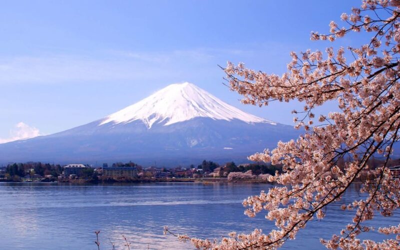 Mount Fuji Pvt. Full Day Trip with English-Speaking Driver - A Deep Dive into Your Mount Fuji Day
