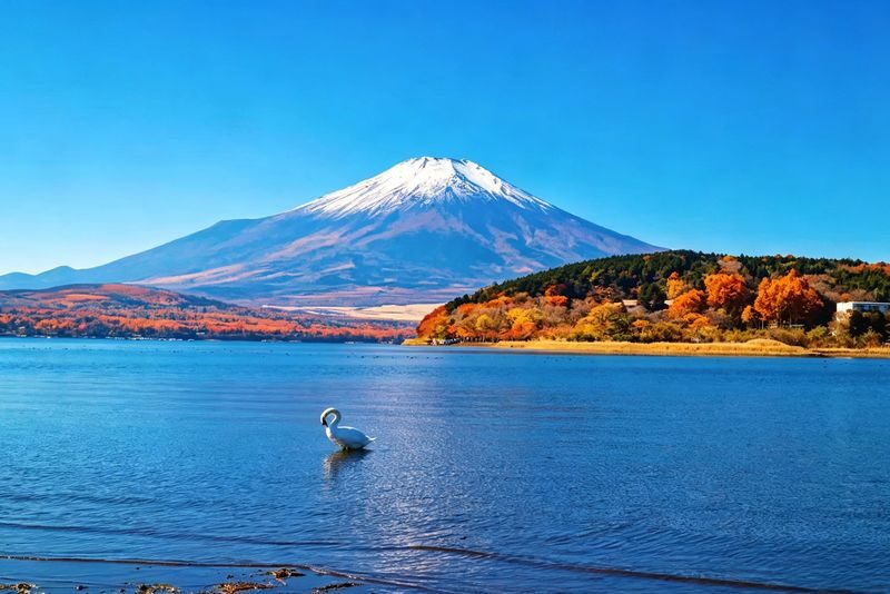 Mount Fujis most beautiful train experience | Asama Park + Nikawa Clock Shop + Fujikyu Train + Lawson Convenience Store + Kawaguchiko Cruise/Ropeway + Lake Yamanaka Swan Feeding [Free Little Train Ticket] - Hikawa Clock Shop and the old street