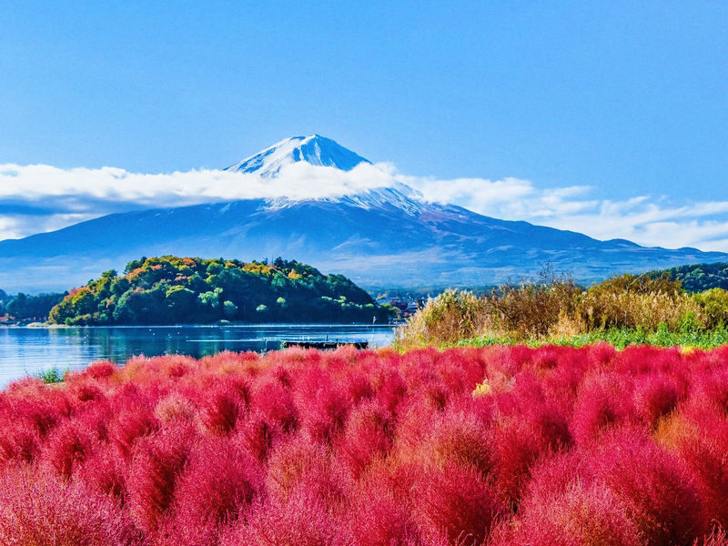 Mount Fujis Popular Must-See Six-View Day Tour - Arakurayama Sengen Park, Lake Kawaguchiko, Oshino Hakkai, Lake Yamanakako, Lawson Convenience Store, Nichikawa Clock Shop - Is this the right Fuji day trip for you?