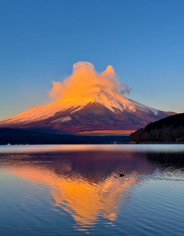Mount Fujis Six Major Instagrammable Photo Spots One-Day Tour: Lake Yamanaka Upside-Down Fuji & Arakurayama Sengen Park & Nichikawa Clock Shop & Oishi Park (Departing from Tokyo) - Lake Yamanaka: Swans, Shore and Fuji