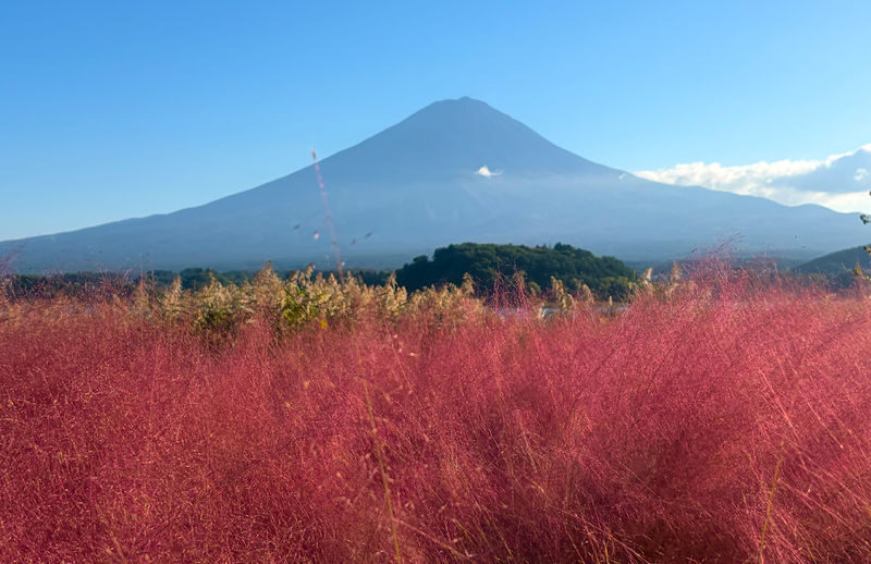 Mount Fujis Six Major Instagrammable Photo Spots One-Day Tour: Lake Yamanaka Upside-Down Fuji & Arakurayama Sengen Park & Nichikawa Clock Shop & Oishi Park (Departing from Tokyo) - Arakurayama Sengen Park and Its Five-Story Pagoda
