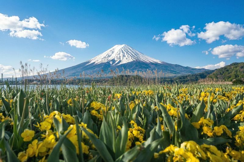 Mount Fuji Scenic Photography Day Tour: Chureito Pagoda & Kawaguchiko Oishi Park & Oshino Hakkai & INS Lawson & Hikawa Clock Shop (Departing from Tokyo) - The Lawson stop is quick, popular, and very much a photo stop