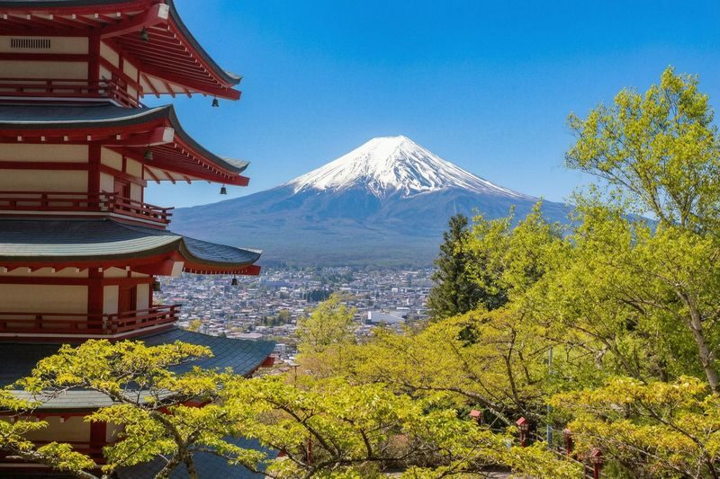 Mount Fuji Scenic Photography Day Tour: Chureito Pagoda & Kawaguchiko Oishi Park & Oshino Hakkai & INS Lawson & Hikawa Clock Shop (Departing from Tokyo) - Guides and transport are part of the value