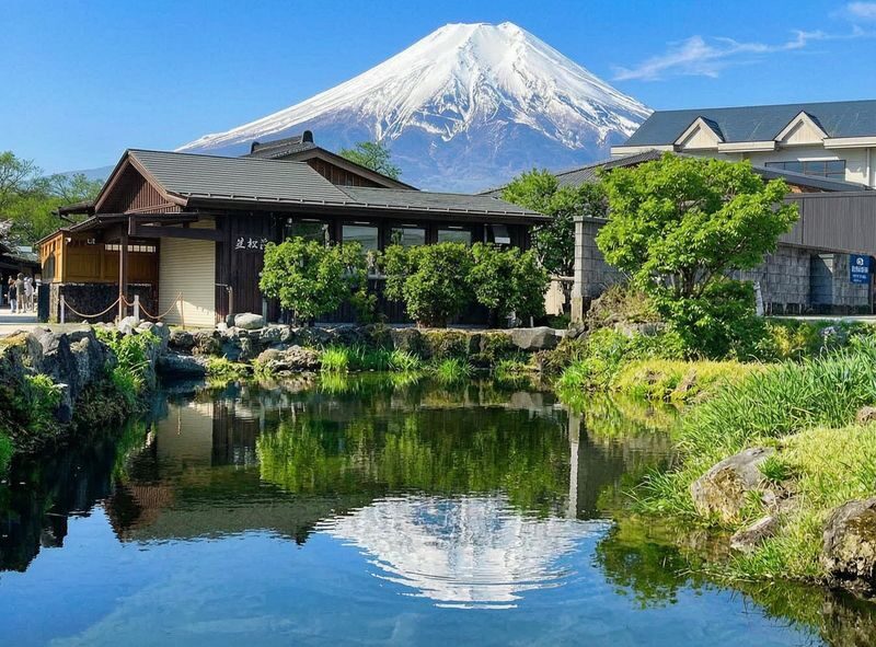 Mount Fuji Scenic Spots Exploration Day Tour: Saiko Iyashi-no-Sato Nenba & Arakurayama Sengen Park & Lake Kawaguchiko Oishi Park & Oshino Hakkai (Departing from Tokyo) - Oshino Hakkai’s clear spring pools