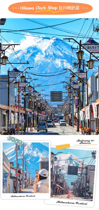 Mount Fuji Seven Scenery Pilgrimage: Ladder Town & Mount Arakura & Oshino Hakkai & Lake Kawaguchiko Four Seasons Scenery Day Tour - Lunch and Oshino Hakkai’s clear springs