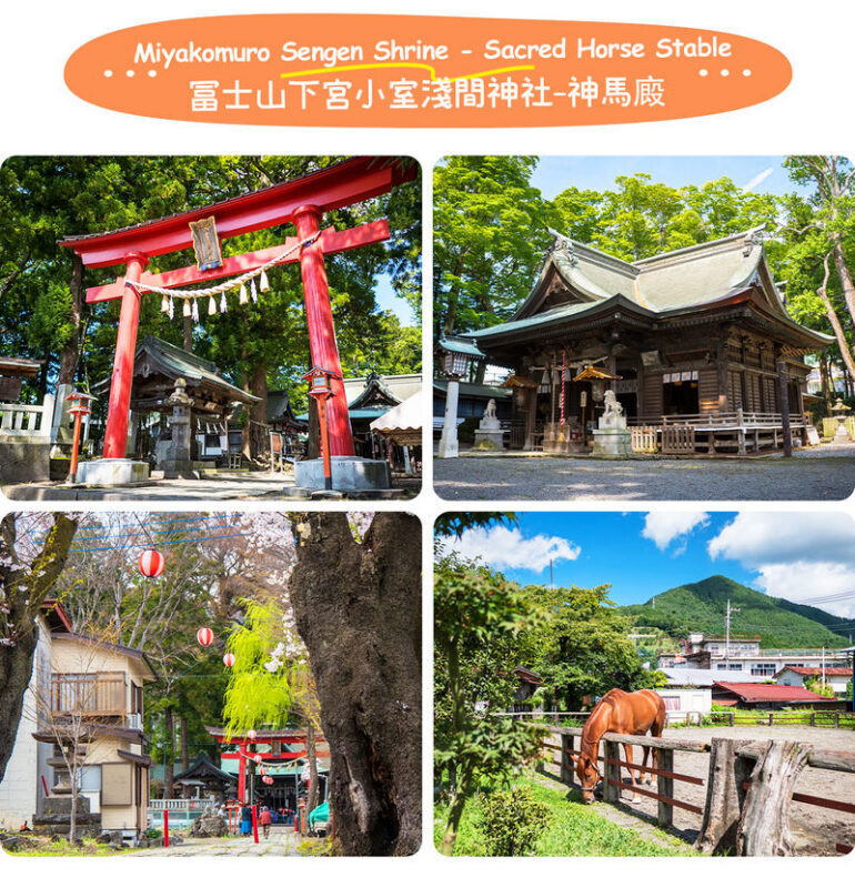 Mount Fuji Seven Scenery Pilgrimage: Ladder Town & Mount Arakura & Oshino Hakkai & Lake Kawaguchiko Four Seasons Scenery Day Tour - Guide, pace, and the value of the day
