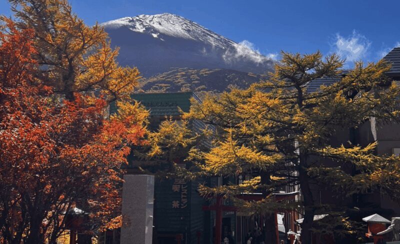Mount Fuji Sightseeing tour with English speaking guide - Detailed Review of the Mount Fuji Sightseeing Tour