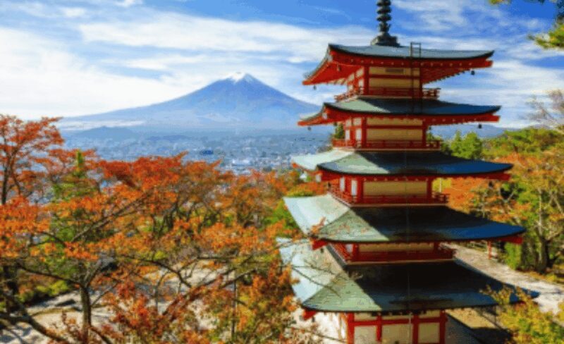Mount Fuji Sightseeing tour with English speaking guide - Authentic Traveler Opinions and Insights