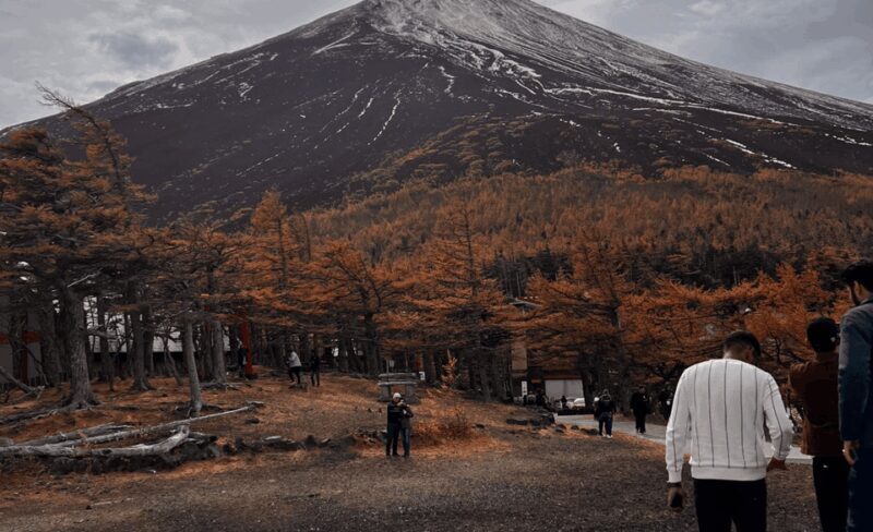 Mount Fuji Sightseeing tour with English speaking guide - FAQ