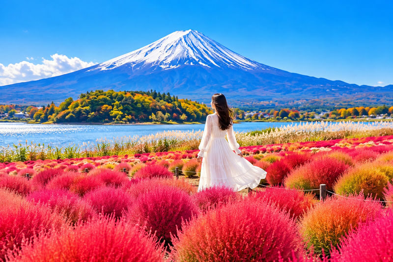 Mount Fuji Six Scenic Spots One-Day Tour: Arakurayama Sengen Park, Hikawa Clock Shop, Oshino Hakkai, Lake Kawaguchiko, Lawson Convenience Store, Lake Yamanakako Swan Feeding (Departing from Tokyo/Shinjuku) - Six stops, six different Fuji views