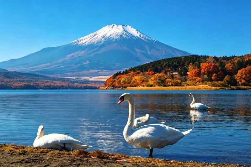 Mount Fuji Six Scenic Spots One-Day Tour: Arakurayama Sengen Park, Hikawa Clock Shop, Oshino Hakkai, Lake Kawaguchiko, Lawson Convenience Store, Lake Yamanakako Swan Feeding (Departing from Tokyo/Shinjuku) - Leaving Tokyo for the Fuji Five Lakes