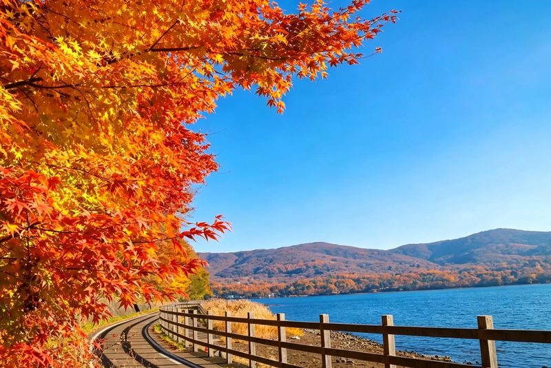 Mount Fuji Six Scenic Spots One-Day Tour: Arakurayama Sengen Park, Hikawa Clock Shop, Oshino Hakkai, Lake Kawaguchiko, Lawson Convenience Store, Lake Yamanakako Swan Feeding (Departing from Tokyo/Shinjuku) - Hikawa Clock Shop and the closing street scene