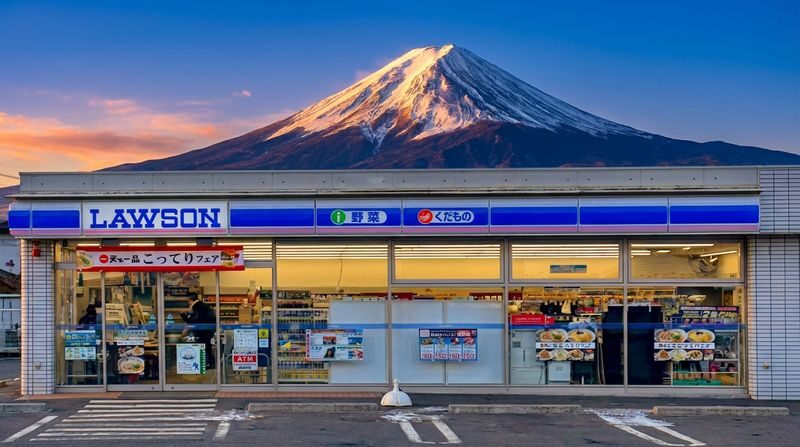 Mount Fuji Special Train & Lake Kawaguchi Cruise/Ropeway & Lake Yamanaka & Hikawa Clock Shop Day Trip - Lake Yamanaka and the chance of swans