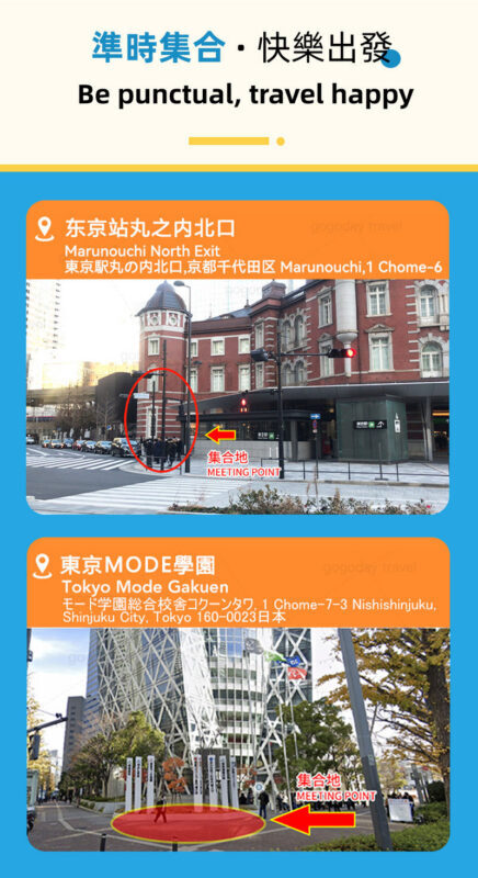 Mount Fuji Tour & Outlet Shopping/Hot Springs Trip: Mount Fuji 5th Station/Arakurayama Sengen Park & Oshino Hakkai & Gotemba Premium Outlets/Hot Spring Day Trip (with Lunch Option, Departing from Tokyo) - Lunch options and what the price covers