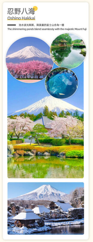Mount Fuji Tour & Outlet Shopping/Hot Springs Trip: Mount Fuji 5th Station/Arakurayama Sengen Park & Oshino Hakkai & Gotemba Premium Outlets/Hot Spring Day Trip (with Lunch Option, Departing from Tokyo) - Who gets the best value from this trip